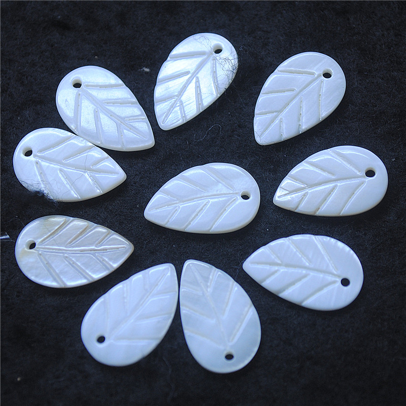 30PCS White Shell Leaf Shape 8 - Women Fashion Nz review and price