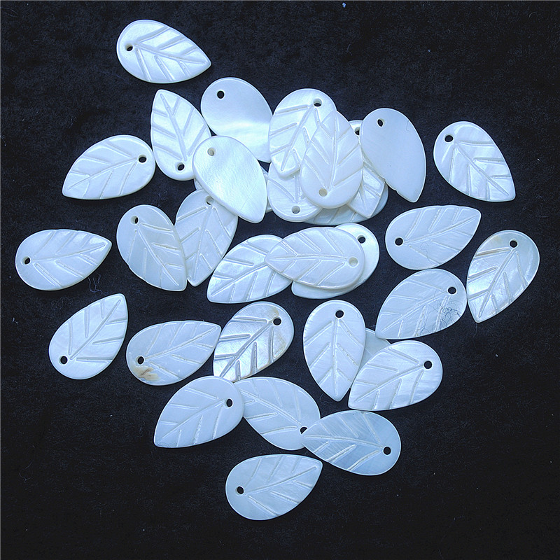 30PCS White Shell Leaf Shape 8 - Women Fashion Nz review and price