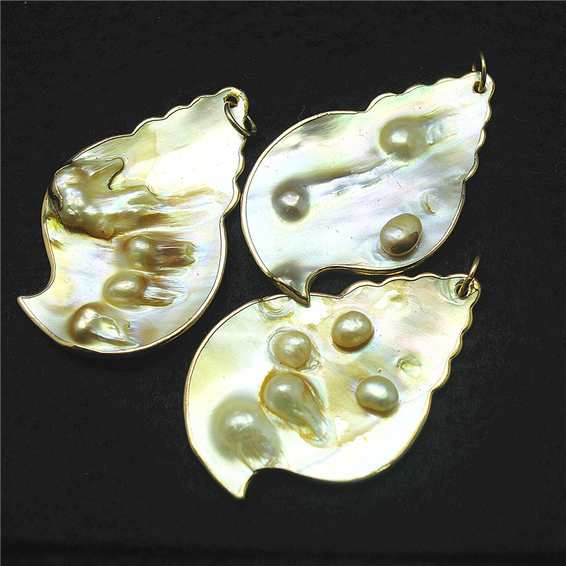 3PCS Nature Shell Pendants Mot - Women Fashion Nz review and price